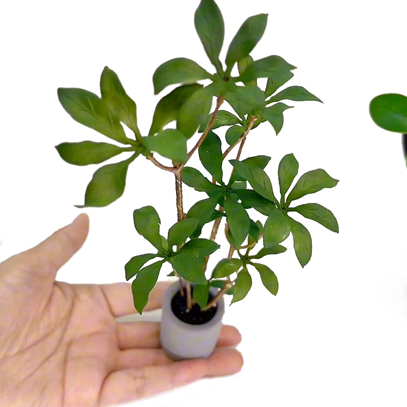 Bonsai Garden House - دمية مصغرة نموذج نباتات بوعاء ،