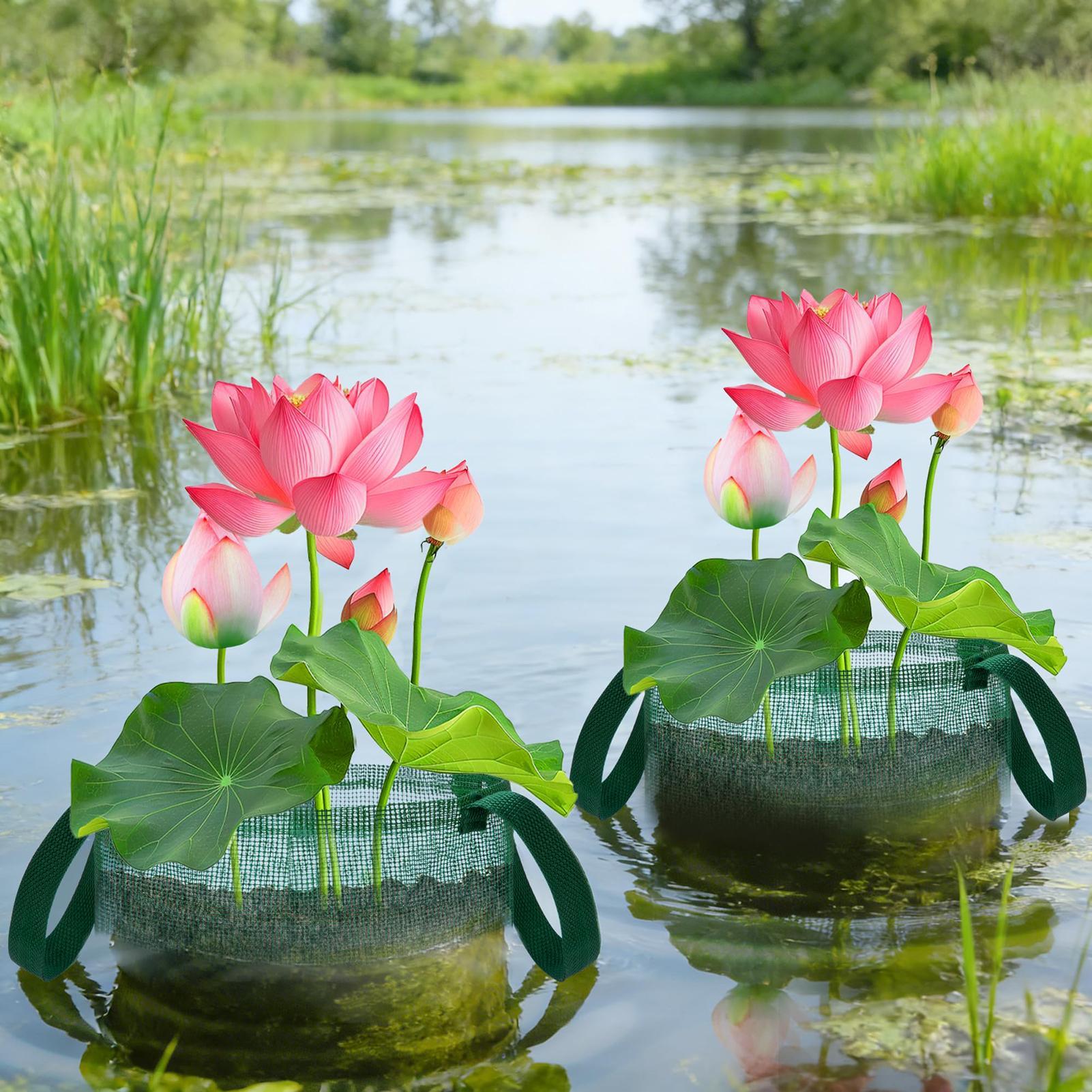 Bonsai Garden With Pond - سلال نباتات شبكية قابلة للطي وإعادة