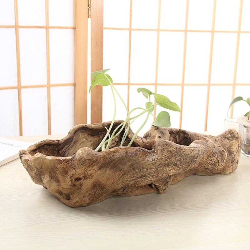 النمط الرعوي الرجعية المشهد ان - مراجعة Japanese Garden Bonsai وسعره