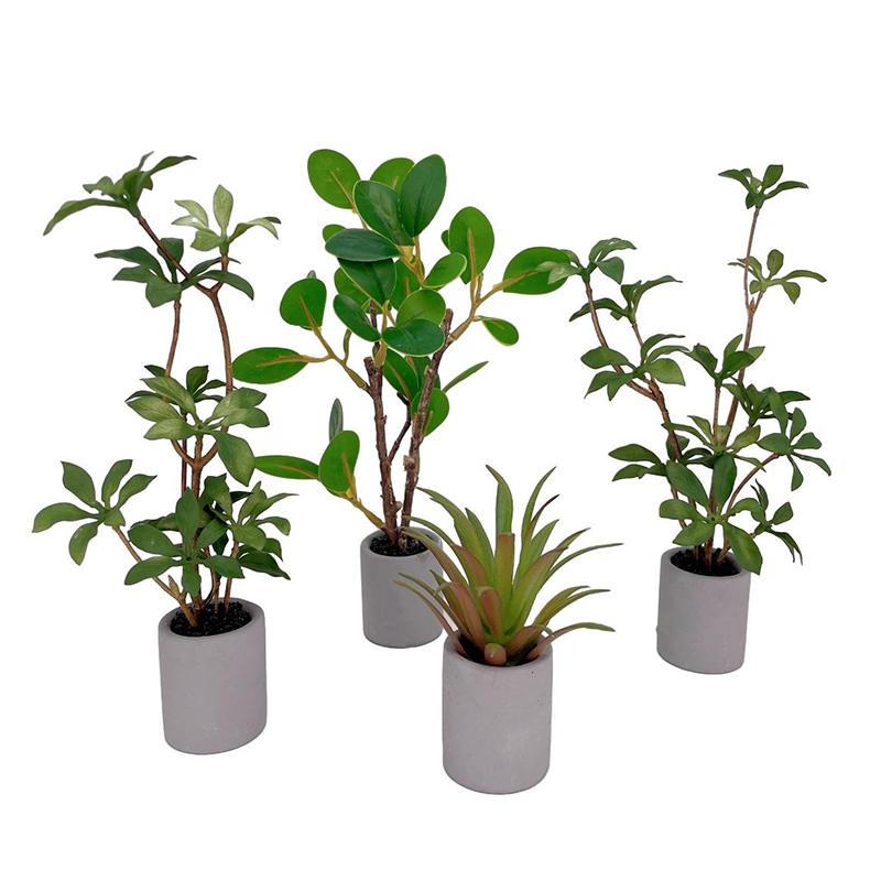1:6 دمية مصغرة بوعاء النبات ال - مراجعة Bonsai Garden House وسعره