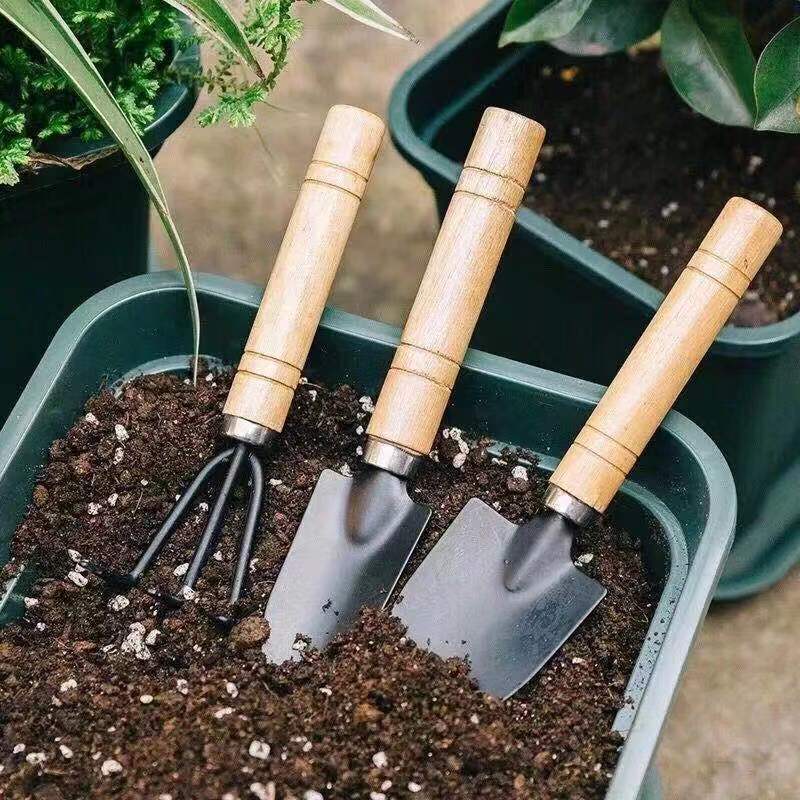 3 قطعة/1 مجموعة أدوات البستنة  - مراجعة Soil Scoop Tool وسعره