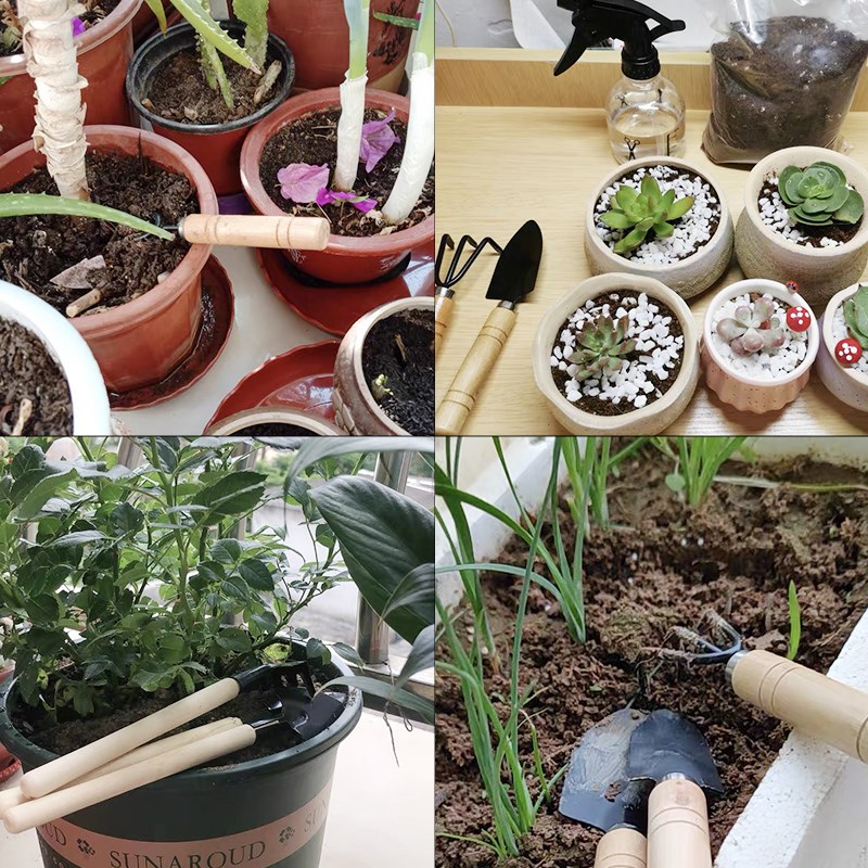 3 قطعة/1 مجموعة أدوات البستنة  - مراجعة Soil Scoop Tool وسعره