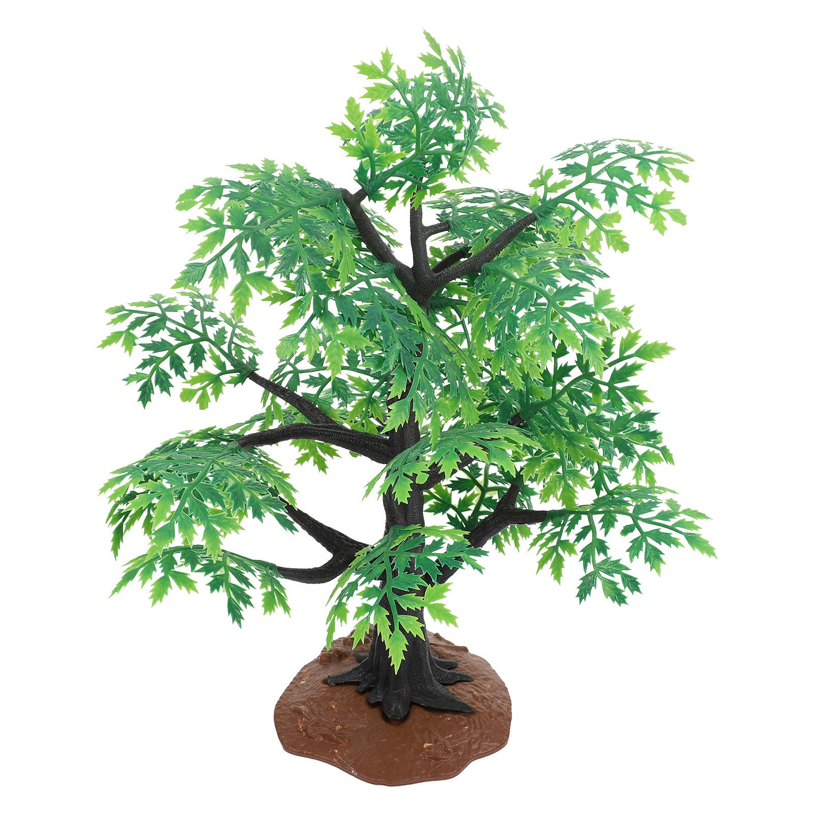 زينة شجرة القيقب المصغرة، متين - مراجعة Bonsai Garden Design وسعره