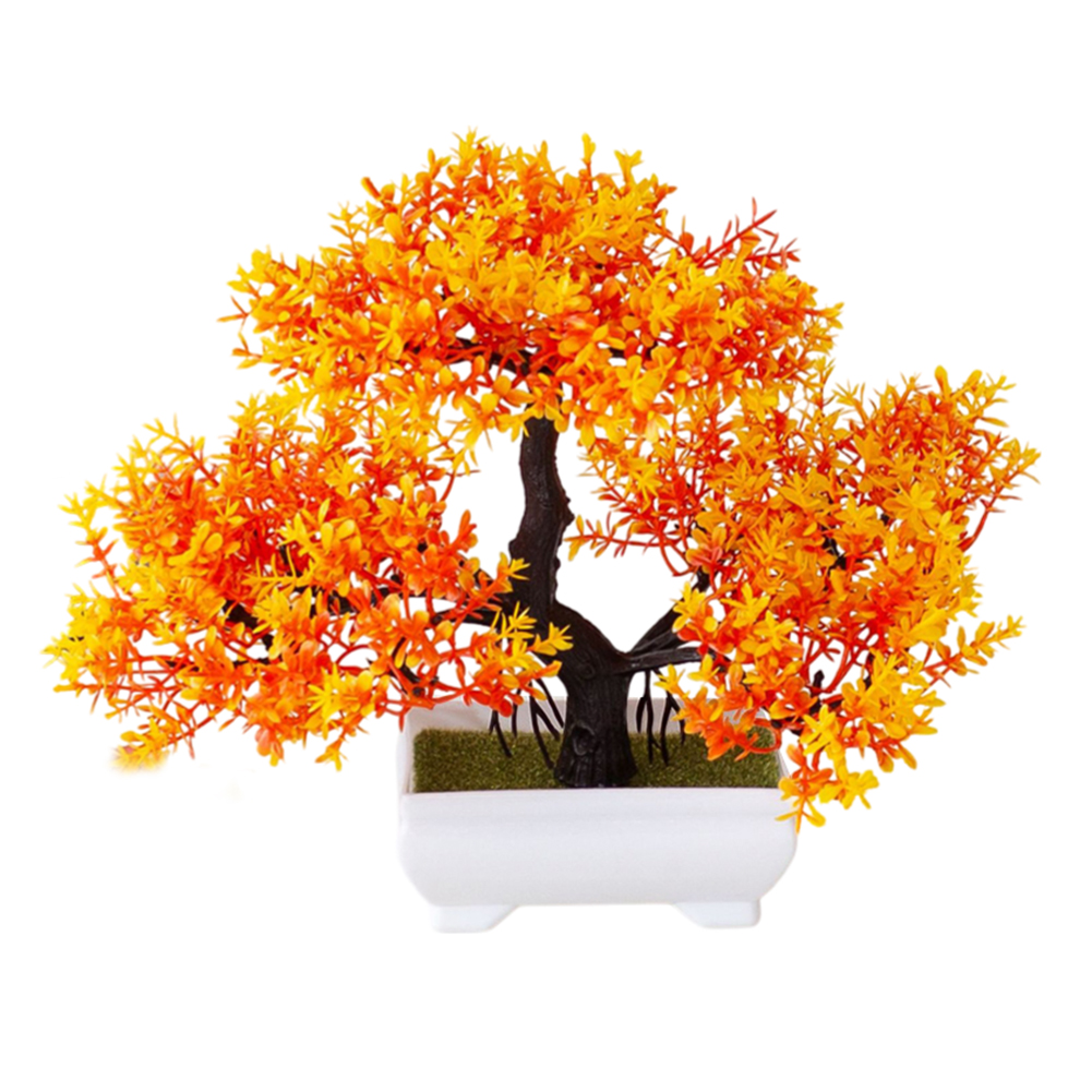 نبات بونساي اصطناعي سهل العناي - مراجعة Bonsai Garden Design وسعره