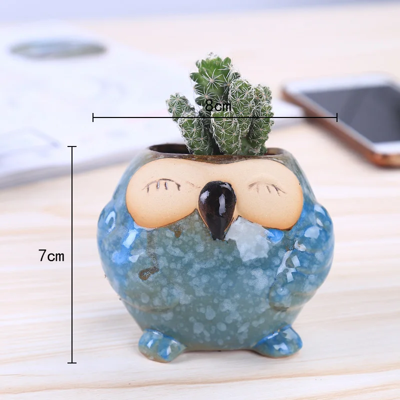 وعاء زرع صغير من السيراميك على - مراجعة Bonsai Garden Wall وسعره